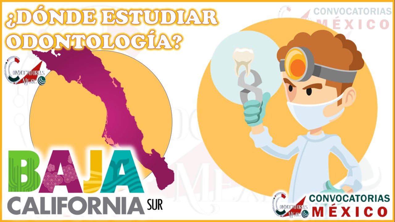 Donde estudiar Odontología en Baja California Sur