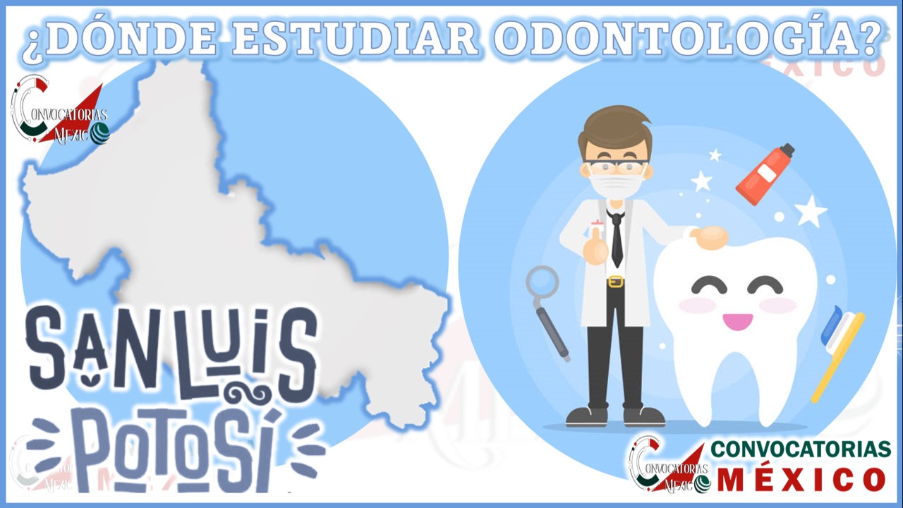 Dónde estudiar Odontología en San Luis Potosí