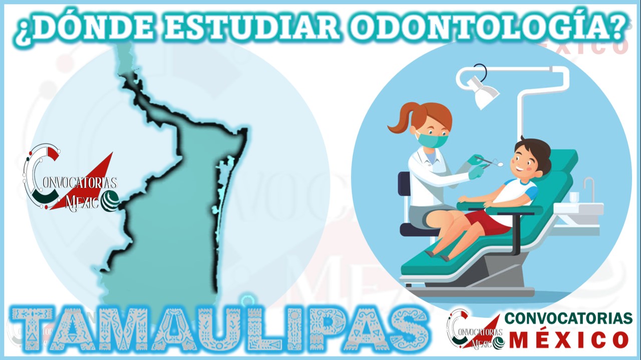 Dónde estudiar Odontología en Tamaulipas