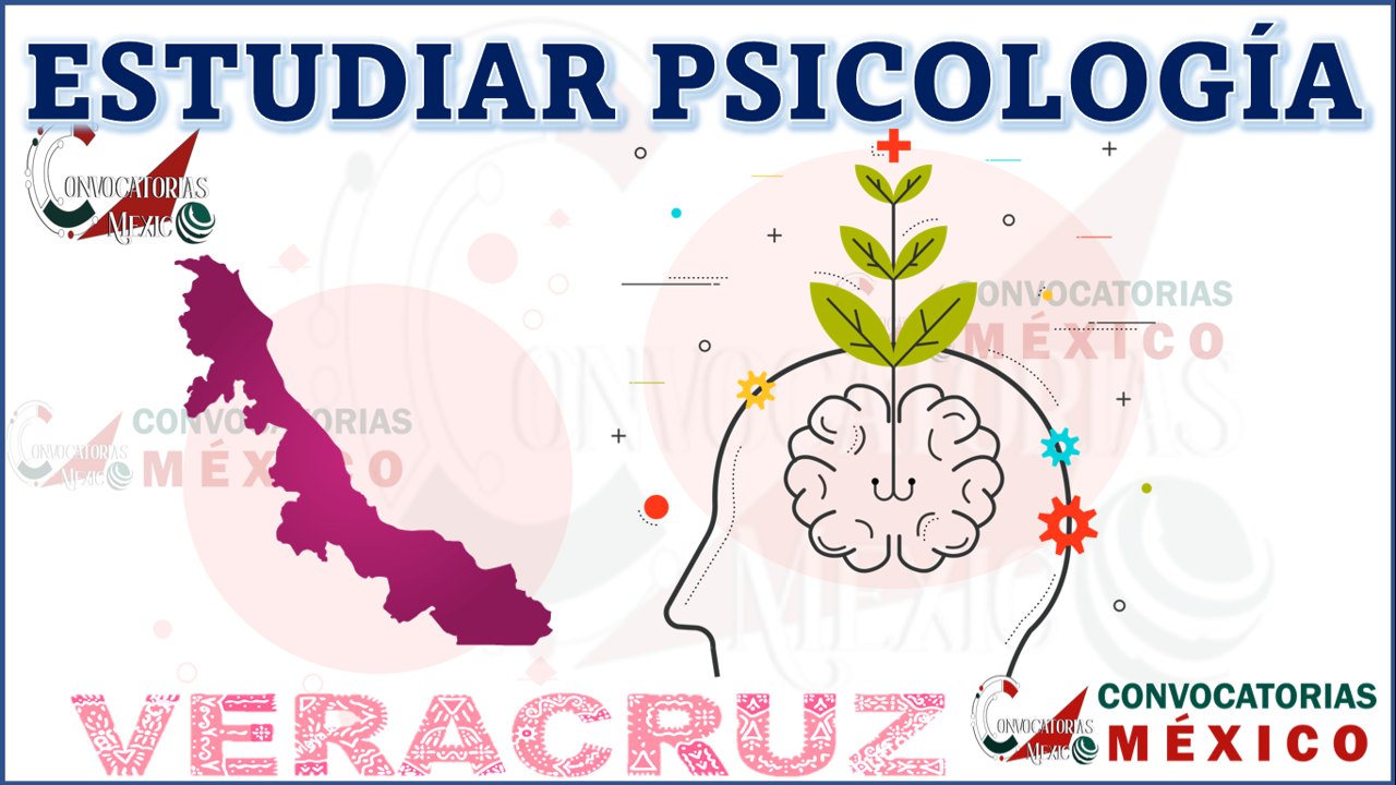 Donde estudiar Psicología en Veracruz