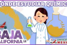 Dónde estudiar Química en Baja California Sur