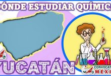 Dónde estudiar Química en Yucatán, México