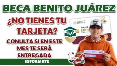 BECA BENITO JUÁREZ| CONOCE CÓMO PUEDES SABER LA FECHA EN QUÉ TE ENTREGARÁN TU TARJETA DEL PROGRAMA