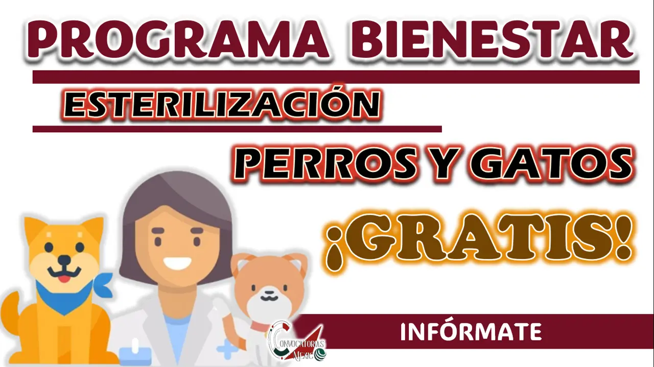 PROGRAMA BIENESTAR ANIMAL| CONSULTA TODA LA INFORMACIÓN SOBRE ESTERILIZACIONES GRATUITAS EN EDOMEX