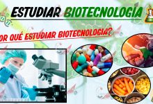 Estudiar biotecnología