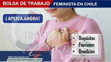 Bolsa de trabajo feminista en Chile