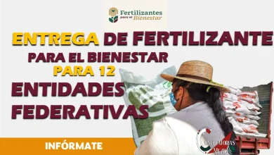 FERTILIZANTES PARA EL BIENESTAR, CONOCE TODA LA INFORMACIÓN 
