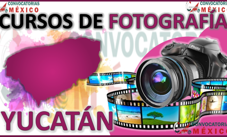 Los 12 Mejores Cursos de Fotografía en Yucatán