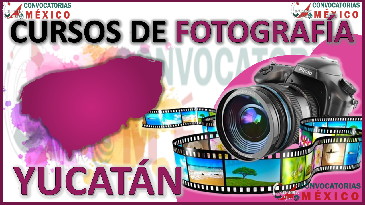 Los 12 Mejores Cursos de Fotografía en Yucatán