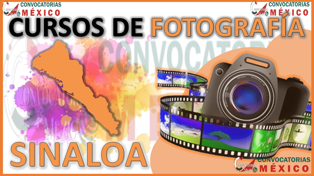 Los 12 Mejores Cursos de Fotografía en Sinaloa