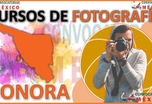 Los 12 Mejores Cursos de Fotografía en Sonora