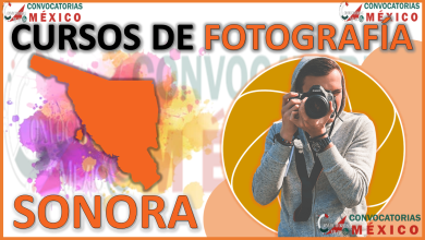 Los 12 Mejores Cursos de Fotografía en Sonora