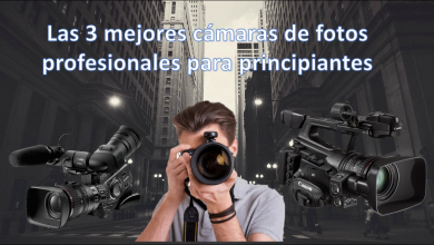 Las 3 mejores cámaras de fotos profesionales para principiantes
