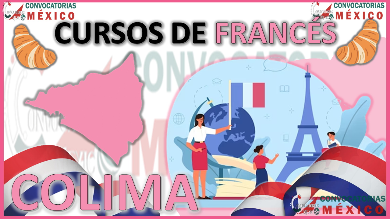 12 Cursos de Francés en Colima