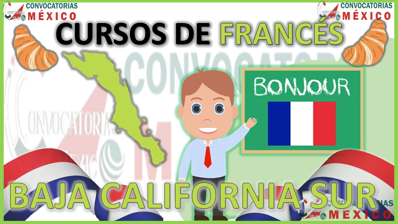 12 Cursos de francés en Baja California Sur