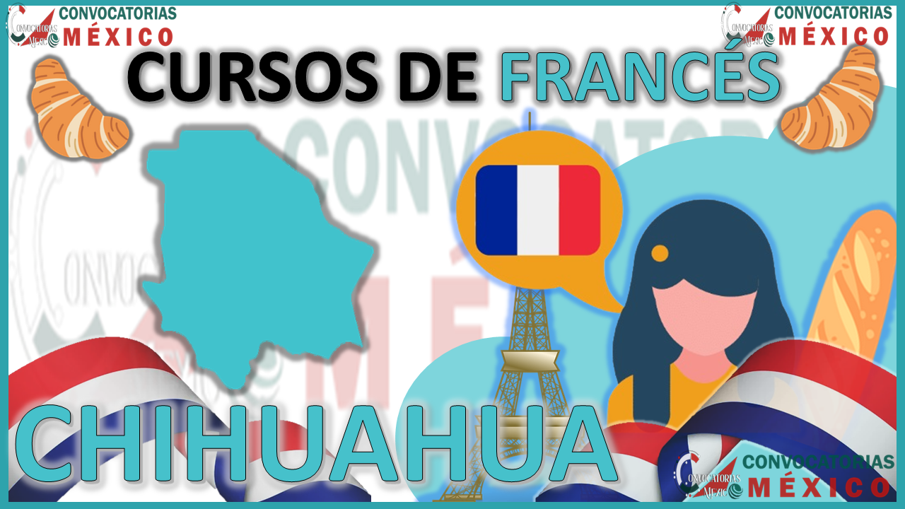 12 Cursos de francés en Chihuahua