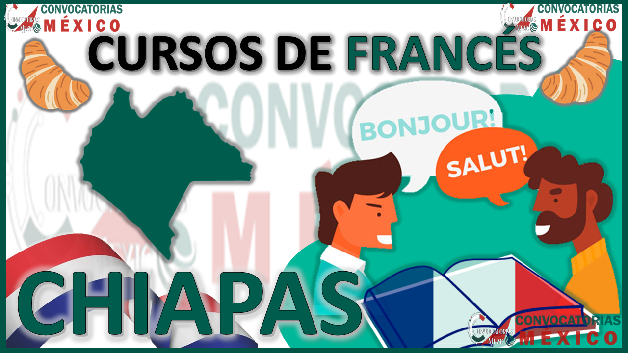 12 Cursos de francés en Chiapas