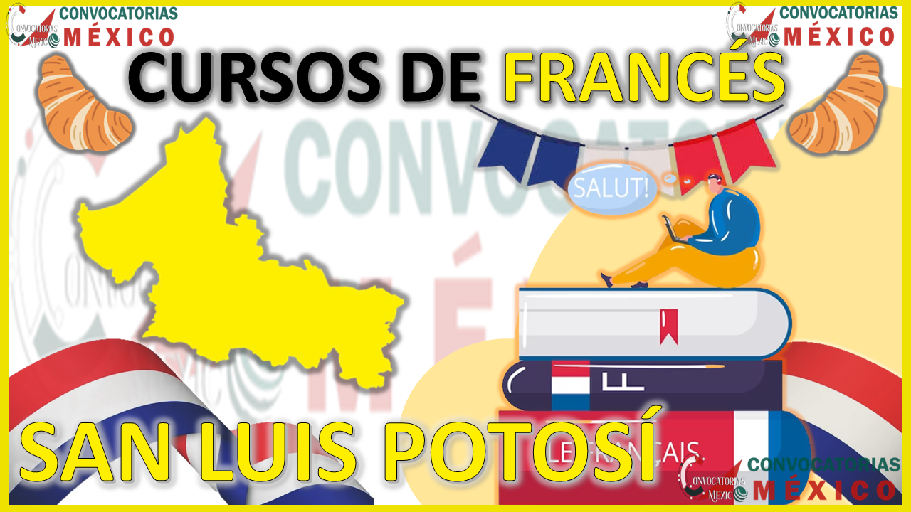 12 Cursos de Francés en San Luis Potosí