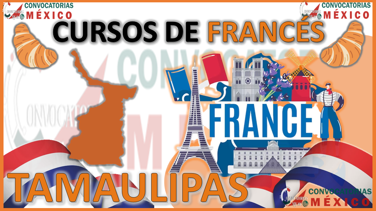12 Cursos de Francés en Tamaulipas