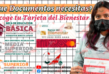 Tarjeta del Bienestar
