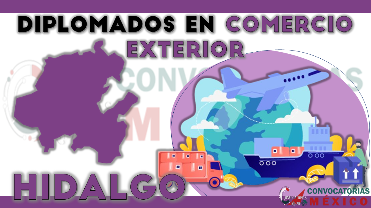 12 Diplomados en Comercio Exterior en Hidalgo