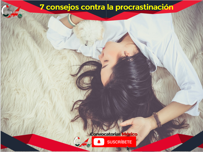 7 consejos contra la procrastinación
