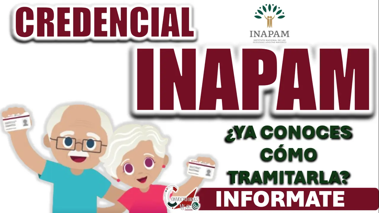 TARJETA INAPAM| ¿CÓMO ES EL PROCESO DE TRÁMITE?