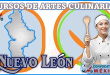 los-10-mejores-cursos-de-artes-culinarias-en-nuevo-leon