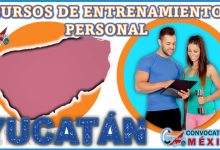 Los 10 Mejores Cursos de Entrenamiento Personal en Yucatán
