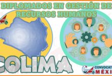 Los 10 Mejores Diplomados en Gestión de Recursos Humanos en Colima