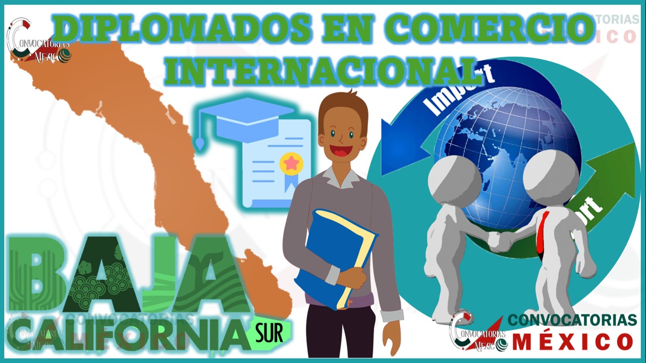 Los 10 Mejores Diplomados en Comercio Internacional en Baja California Sur
