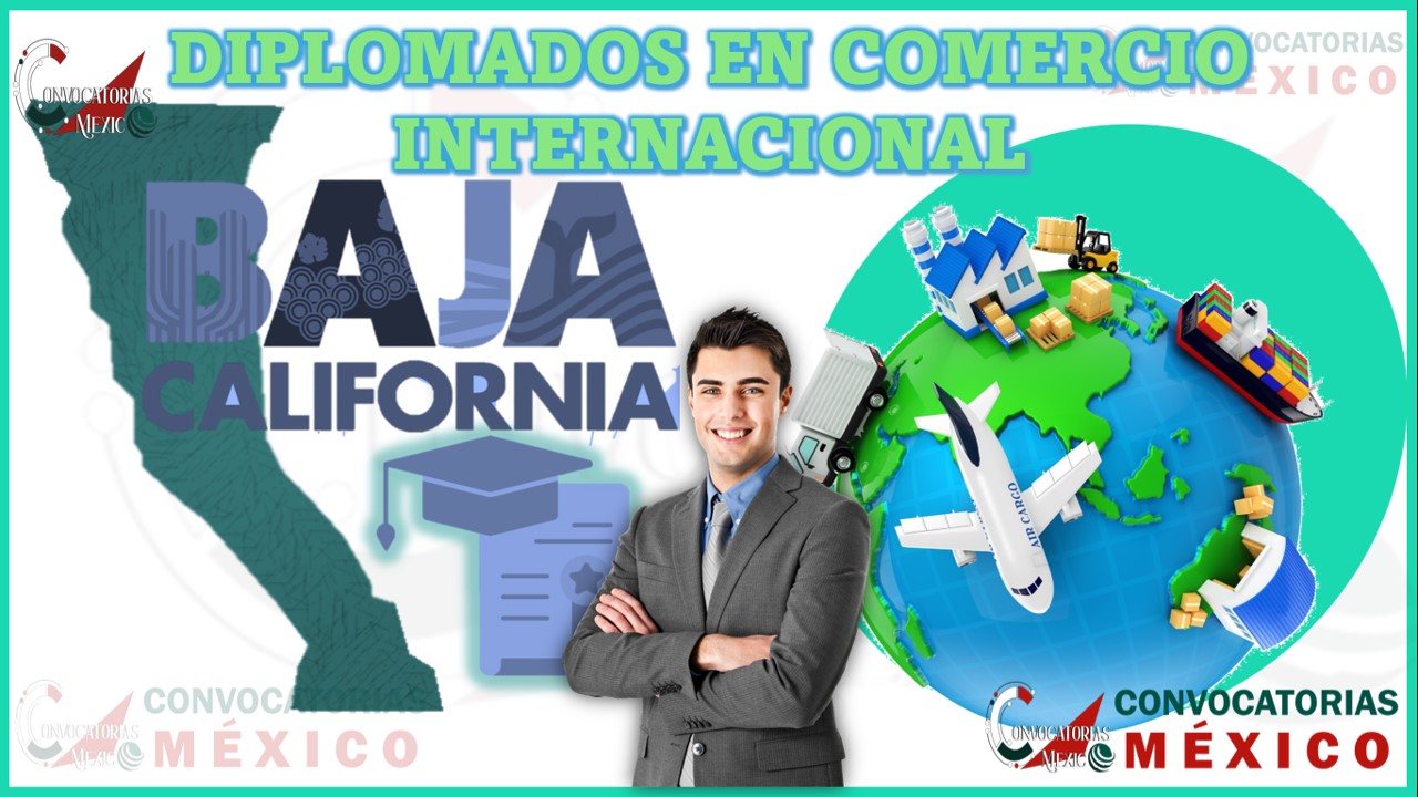 Los 10 Mejores Diplomados en Comercio Internacional en Baja California