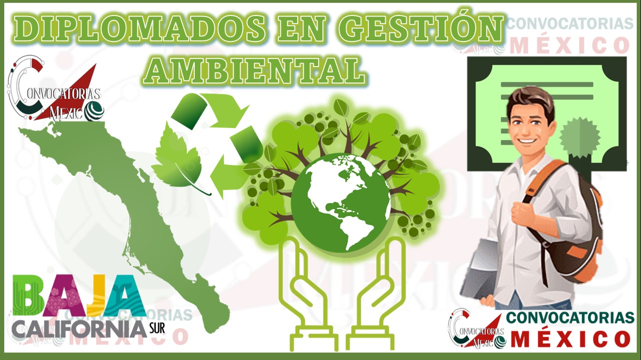 Los 10 Mejores Diplomados en Gestión Ambiental en Baja California Sur