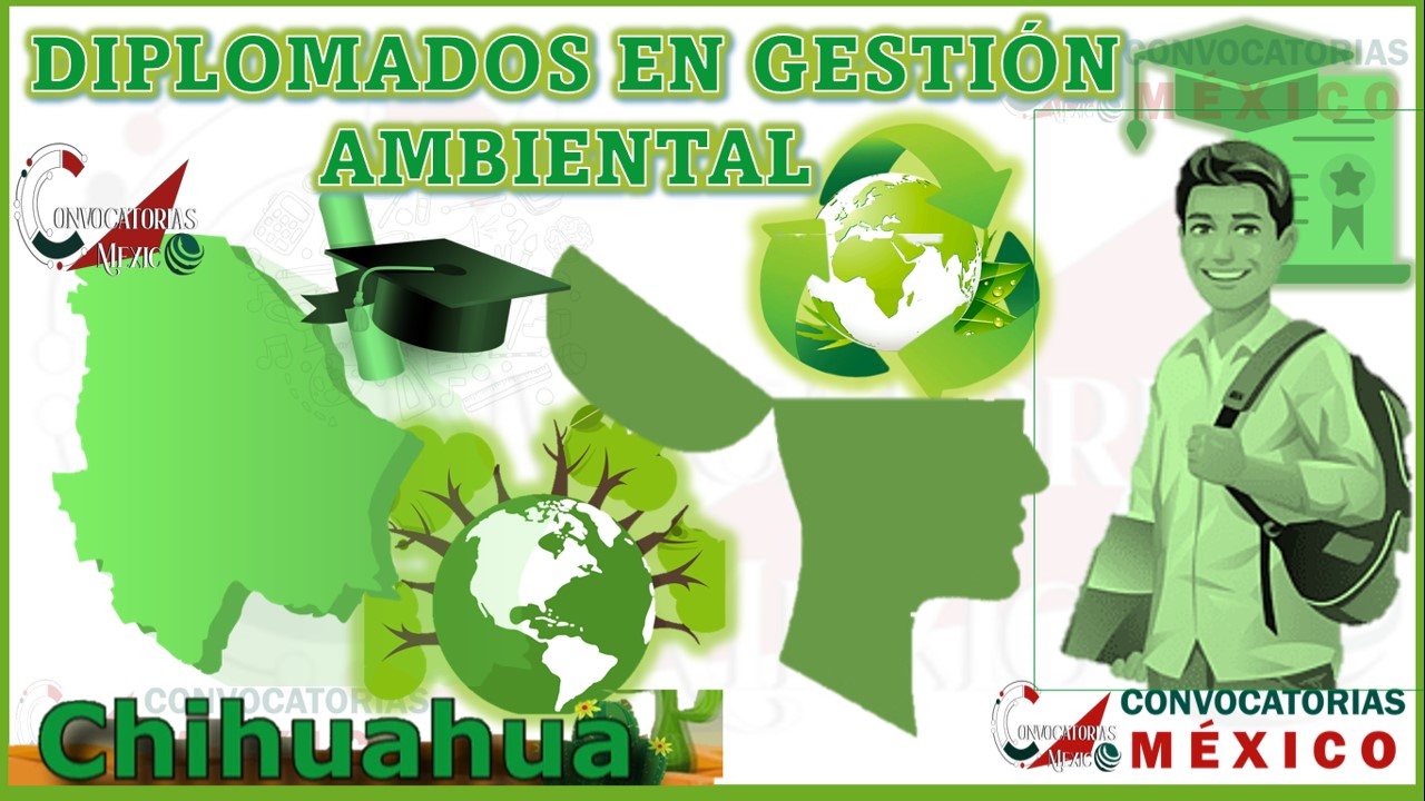 Los 10 Mejores Diplomados en Gestión Ambiental en Chihuahua