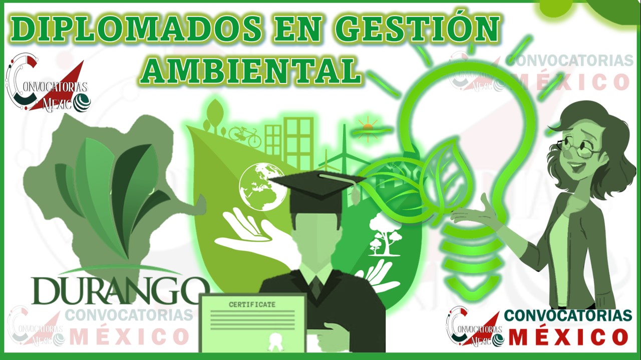 Los 10 Mejores Diplomados en Gestión Ambiental en Durango