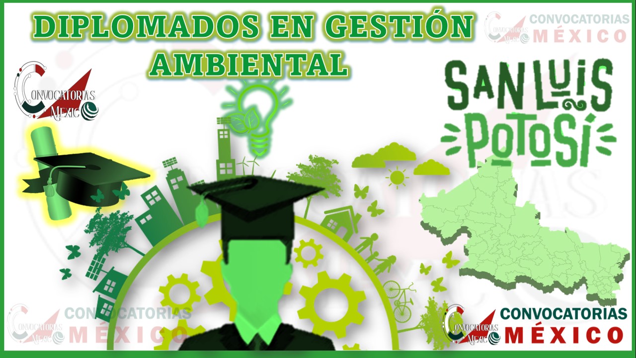 Los 10 Mejores Diplomados en Gestión Ambiental en San Luis Potosí