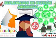 Los 10 Mejores Diplomados en Gestión Ambiental en Tamaulipas