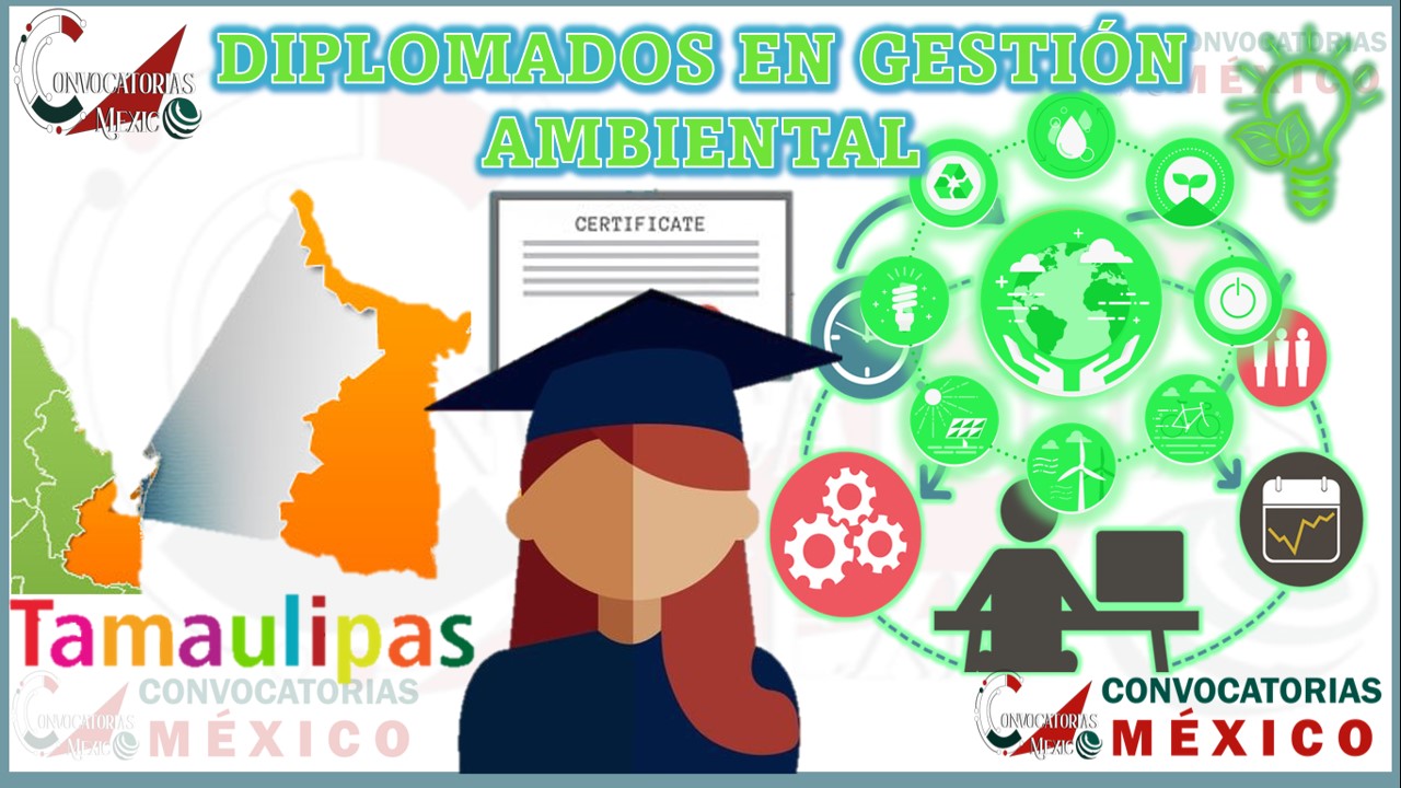 Los 10 Mejores Diplomados en Gestión Ambiental en Tamaulipas