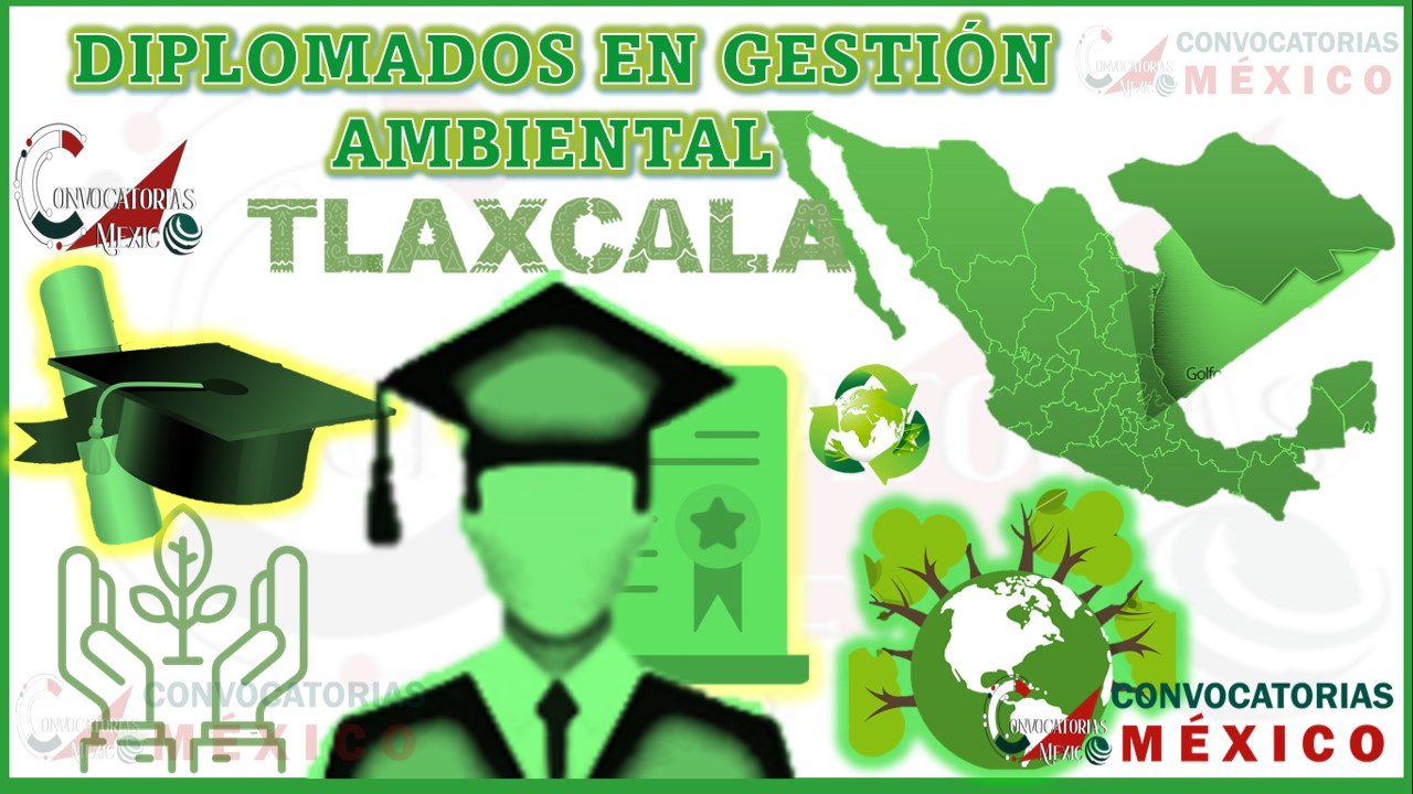 Los 10 Mejores Diplomados en Gestión Ambiental en Tlaxcala