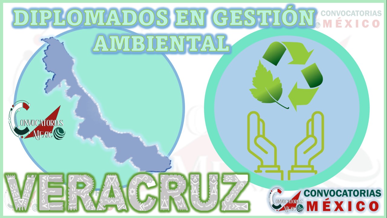 Los 10 Mejores Diplomados en Gestión Ambiental en Veracruz
