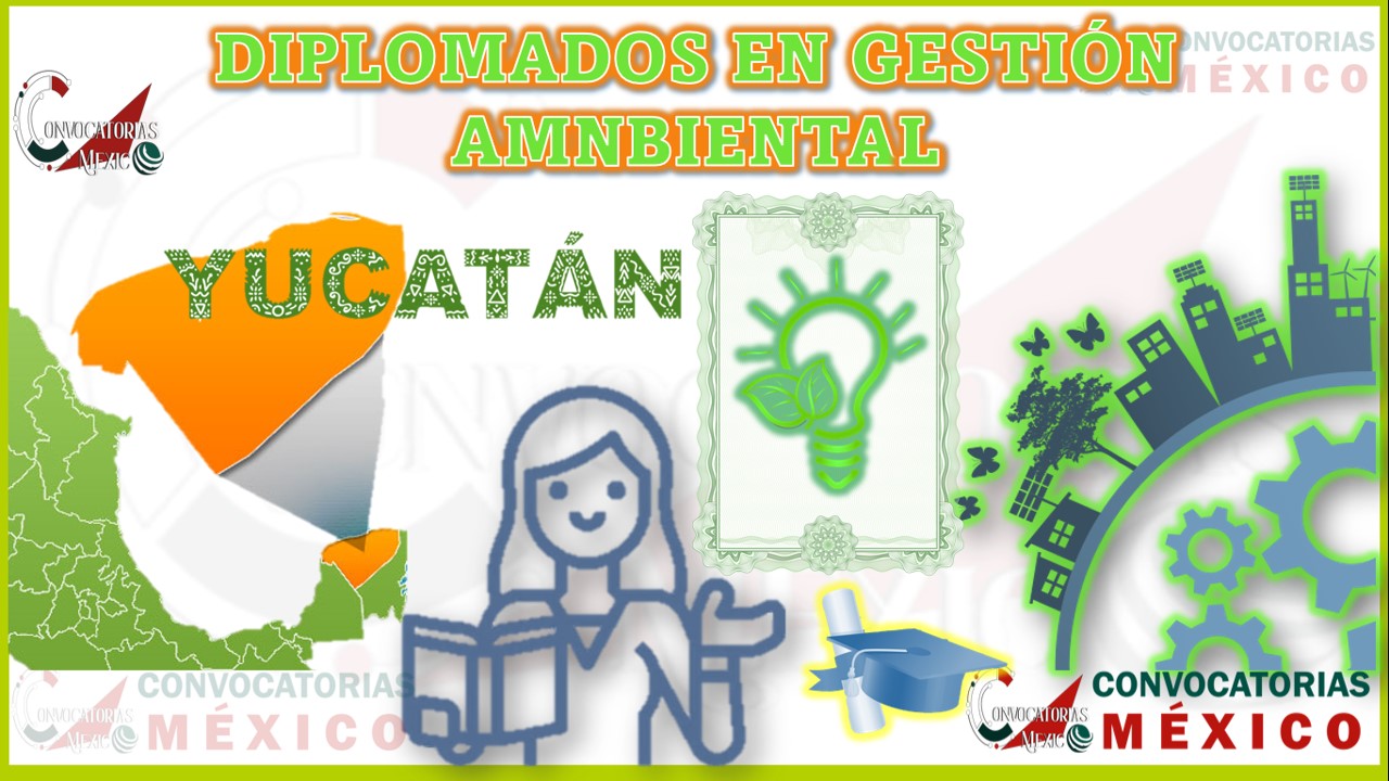 Los 10 Mejores Diplomados en Gestión Ambiental en Yucatán