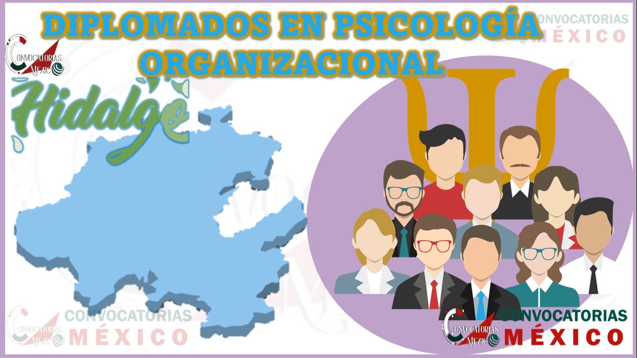 los-10-mejores-diplomados-en-psicologia-organizacional-en-hidalgo