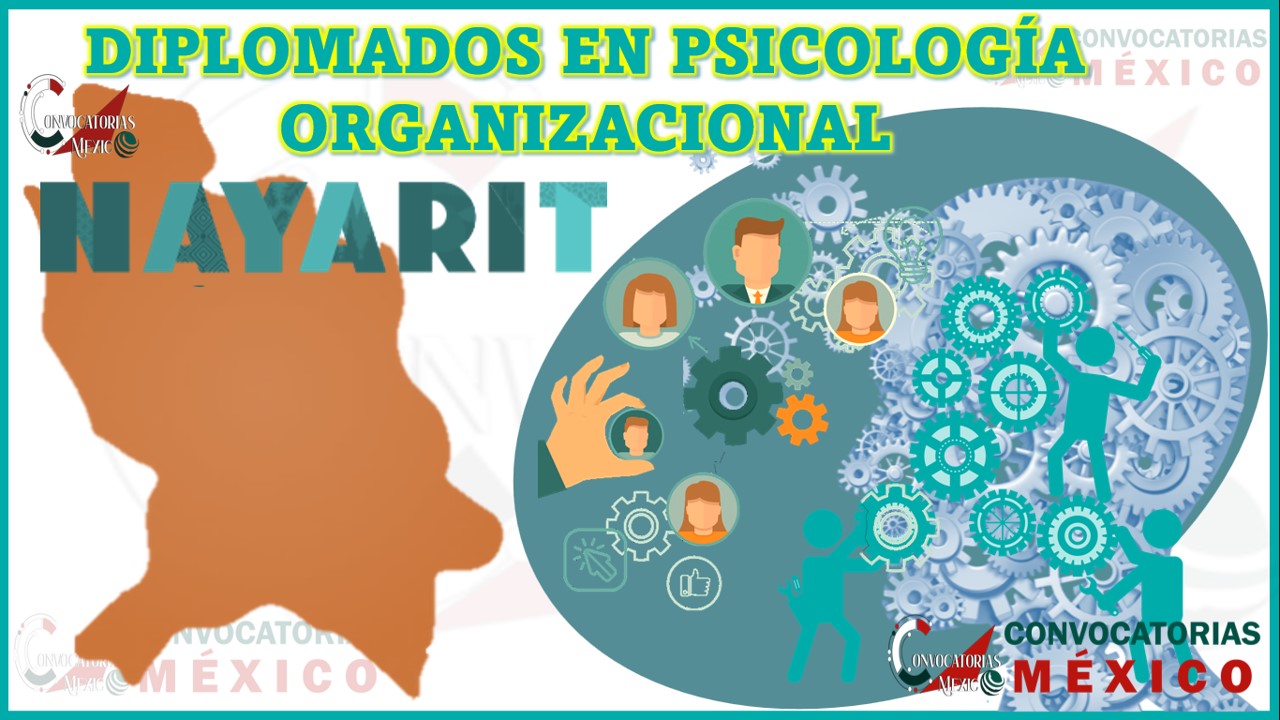 Los 10 Mejores Diplomados en Psicología Organizacional en Nayarit