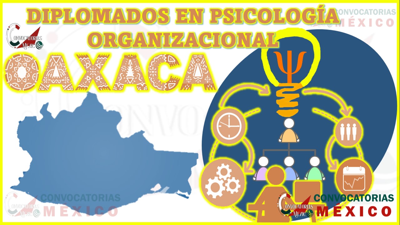 Los 10 Mejores Diplomados en Psicología Organizacional en Oaxaca