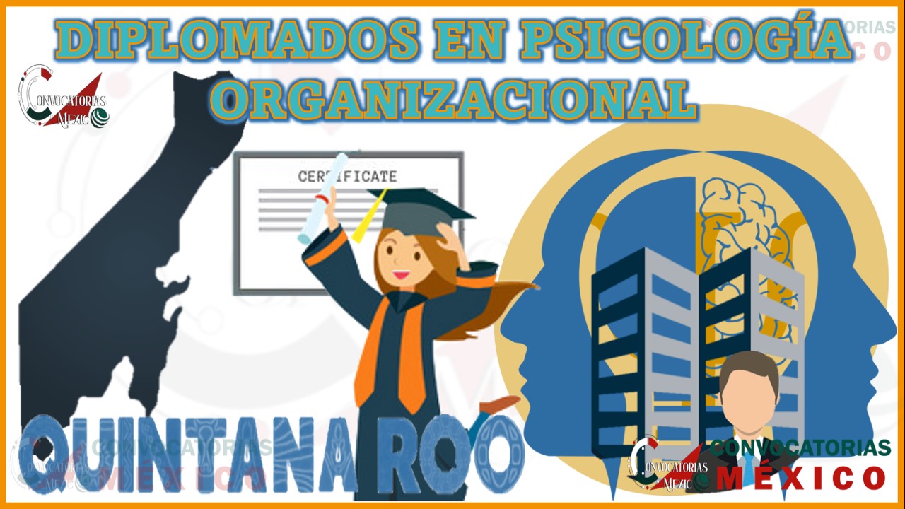 Los 10 Mejores Diplomados en Psicología Organizacional en Quintana Roo