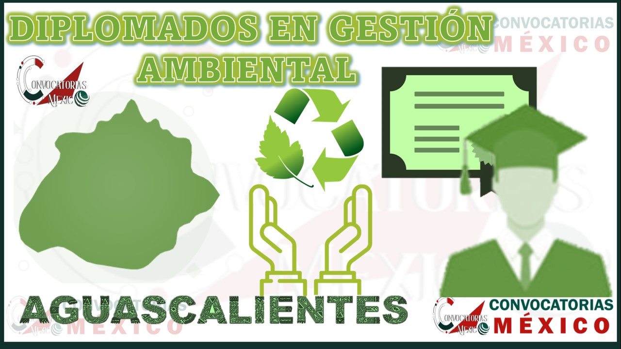 Los 10 Mejores Diplomados en Gestión Ambiental en Aguascalientes