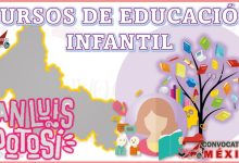 Los 12 Mejores Cursos de Educación Infantil en San Luis Potosí