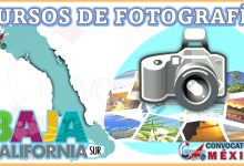 Los 12 Mejores Cursos de Fotografía en Baja California Sur 13 Los 12 Mejores Cursos de Fotografía en Baja California Sur