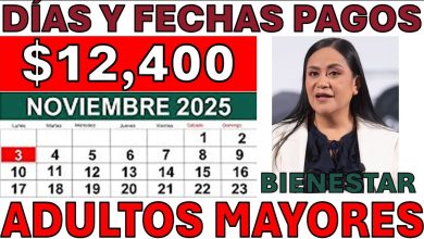 Pensión Bienestar Octubre 2025: Nuevas Tarjetas, Incorporaciones y el Pago Final