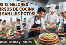 Estudiantes de gastronomía y chefs preparando platillos tradicionales en una cocina profesional con vista al centro histórico de San Luis Potosí